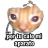 Memes uwu 18 11