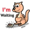 Cute Animals 10