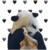 Pandas 12