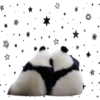 Pandas 13
