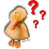 AnimalitoS 9