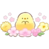 Soft & Cute Chick (Summer) 12