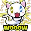 回
萬海
风回风
WOOOW
*(
風
风回