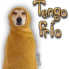 AnimalitoS 10