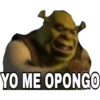 Shrek 1 12