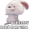 ACÁ ESTOY
PARÁ TI MI VIDA
