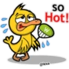 Cute Animals 13