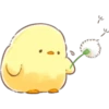 Soft & Cute Chick (Summer) 16