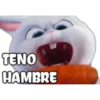 TENO
HAMBRE