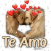 AnimalitoS 13