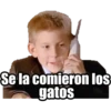 Se la comieron los
gatos