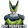 SOY PERFECTO