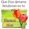 Que Dios derrame
bendiones en tu
vida
Buenos
días
@lexa