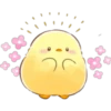 Soft & Cute Chick (Summer) 17