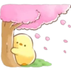 Soft & Cute Chick (Summer) 18