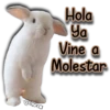 AnimalitoS 15