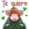 AnimalitoS 16