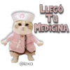 AnimalitoS 17