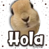 AnimalitoS 18