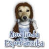 AnimalitoS 19