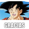 כ GRACIAS
