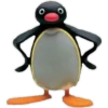 Pingu 2 🐧🐧 17