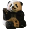 Pandas 22