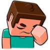 Minecraft ▣ Player 20