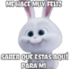 ME HACE MUY FELIZ
SABER QUE ESTAS AQUÍ
PARA MI
