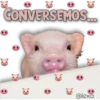 AnimalitoS 22