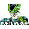 PONTE VERGA