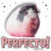 AnimalitoS 23