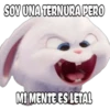 SOY UNA TERNURA PERO
MI MENTE ES LETAL
