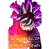 Ya no creo en tus
palabras estúpidas