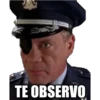 TE OBSERVO