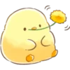Soft & Cute Chick (Summer) 23