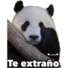 Lucero
Te extraño