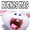 BUENOS DIAS