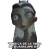 *MÚSICA DE LA ROSA
DE GUADALUPE ONⓇ