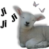 AnimalitoS 26