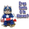 AnimalitoS 27