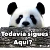 Todavía sigues
Aquí?
Lucero