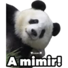 Lucero
A mimir!