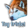 AnimalitoS 28