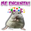 AnimalitoS 29