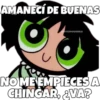 AMANECÍ DE BUENAS
esOYCHOOQomILQ
NO MEEMPIECES A
CHINGAR, 2VA?