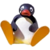 Pingu 2 🐧🐧 23