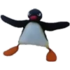 Pingu 2 🐧🐧 25