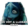 NO VOY A LLORAR
OK??