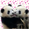 Pandas 27
